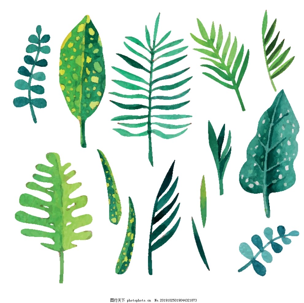 小清新水彩北欧植物图片 绘画书法 文化艺术 图行天下素材网