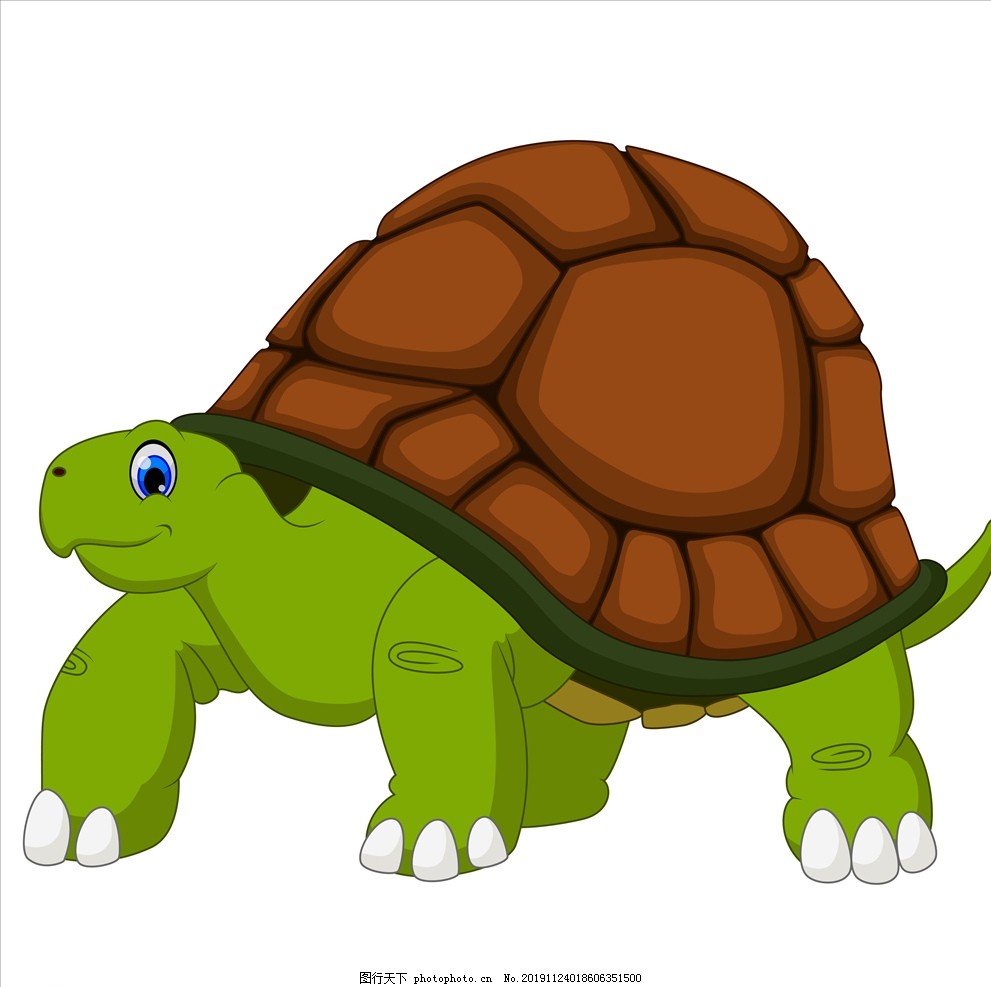 小乌龟图片_动漫卡通_插画绘画-图行天下素材网
