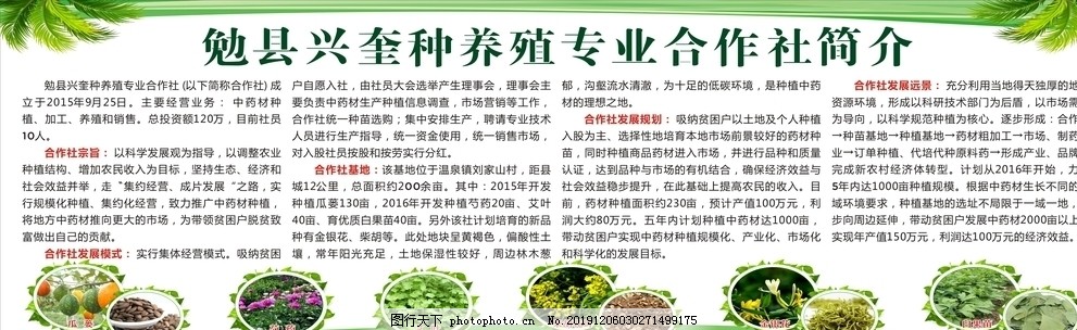 种养植合作社,农业合作社,专业合作社,种养植,兴奎种养植,勉县农业,瓜蒌,瓜蒌籽,芍药,艾叶,柴胡,柴胡花叶,金银花,白果,白果时,白果苗,养殖基地,设计,广告设计,展板模板,CDR