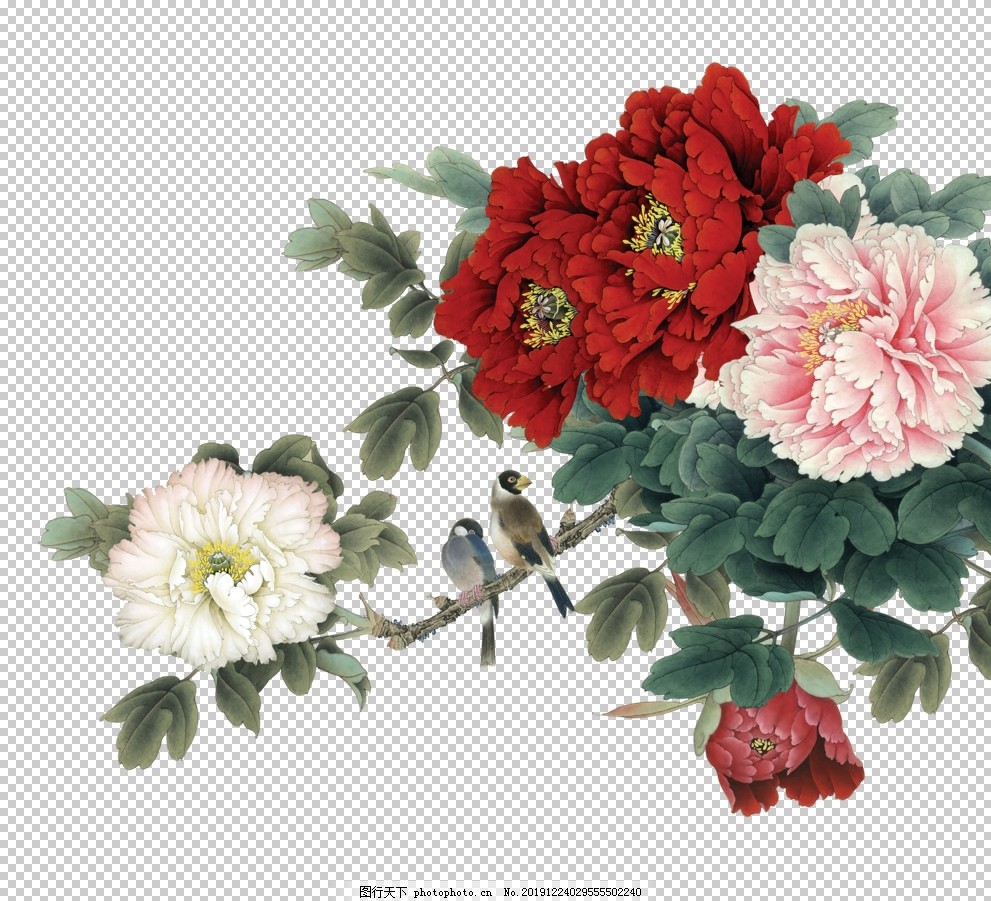工笔牡丹花png图片 其他 其他 图行天下素材网