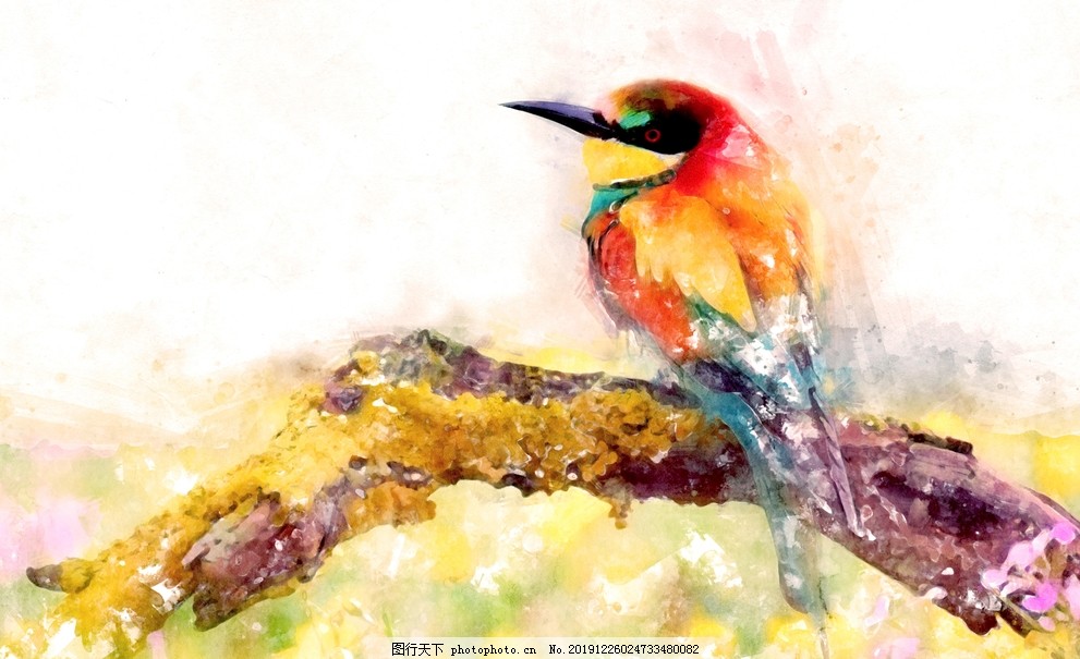 鸟,动物,小鸟,珍稀,珍稀鸟类,野鸟,羽毛,鸟儿,脊椎动物,鸟类,飞禽,飞行,鸟特写,摄影,鸟素材,鸟壁纸,大鸟抓拍,大鸟,鸟动态,小鸟设计,鸟设计,花鸟画,设计,生物世界,72DPI,JPG